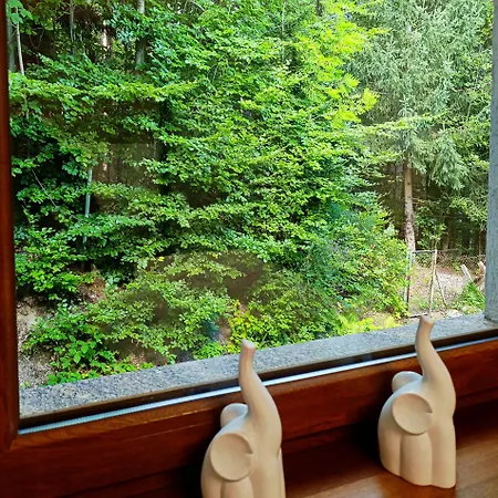 Holiday home Furtka Do Lasu *