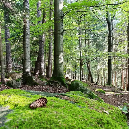 Furtka Do Lasu Feriehus *