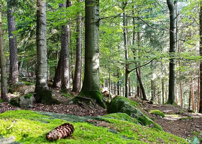 Furtka Do Lasu Сasa de vacaciones *
