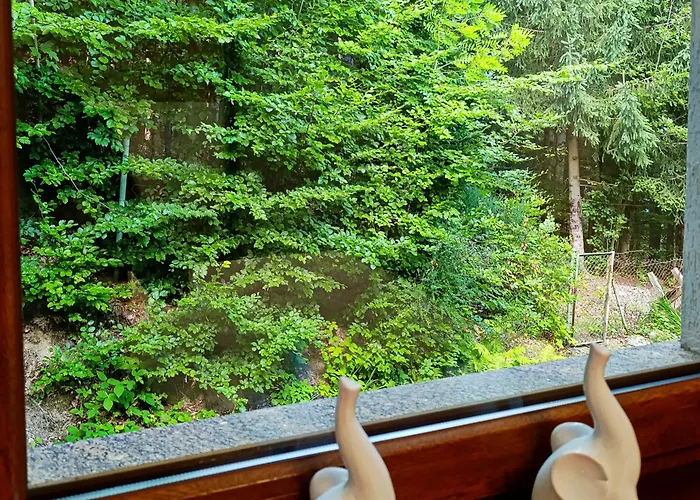 Сasa de vacaciones Furtka Do Lasu *